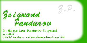 zsigmond pandurov business card